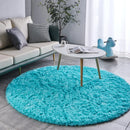 Axyaa Gray Fluffy Plush Carpet Round Rug for Living Room, Kids Bedroom, Nursery & Home Decor