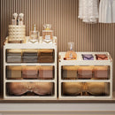Axyaa Multi-layer Underwear Organizer Box - Socks & Underwear Storage Cabinet