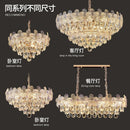 Axyaa High-End Crystal Chandelier for Living Room, Bedroom, Dining Room