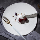 Axyaa Ceramic Steak Plate for Hotel and Western Restaurant