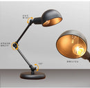 Axyaa Retro Desk Lamp: Nordic Postmodern Style for Bedroom and Living Room