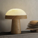 Axyaa Wood+Marble Table Lamps LED Book Lights for Indoor Decoration