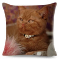 Axyaa British Shorthair Russian Blue Cat Cushion Cover - Cute Pet Animal Pillowcase
