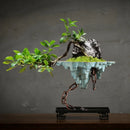Axyaa Mangosteen Hanging Flower Pot for Home and Garden Decoration