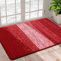 Axyaa Low Profile Mat - Indoor Non-Slip Welcome Doormat with Super Absorbency
