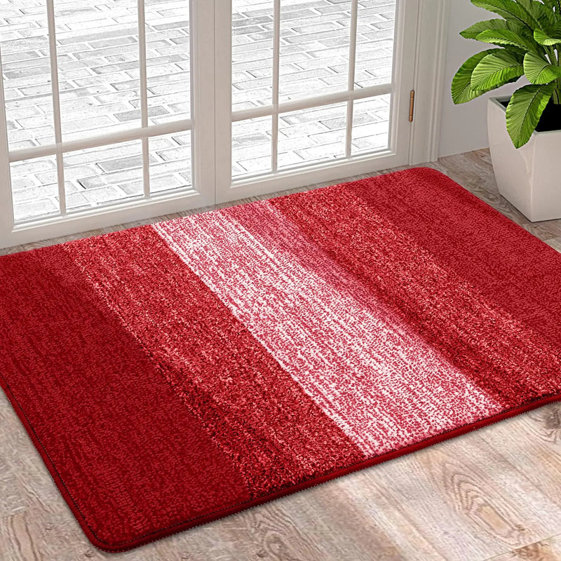 Axyaa Low Profile Mat - Indoor Non-Slip Welcome Doormat with Super Absorbency