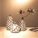 Axyaa Polka Dot Glass Vase Terrarium Hydroponics Flowerpot Home Decor