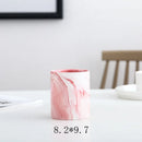 Axyaa Marble Ceramic Succulent Planter Set