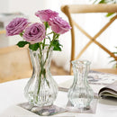Axyaa Clear Retro Flower Vase Hydroponics Plants Pot Glass Decor Container