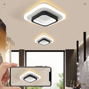 Axyaa LED Ceiling Light for Home Decor - Modern Small Design