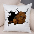Axyaa Cute Dog Print Pillow Case for Home Decor and Comfort