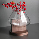 Axyaa Glass Vase Fluid Abstract Terrarium Home Decoration