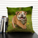 Axyaa Cute Dog Cat Pattern 45x45cm Linen Pillowcase for Living Room Sofa