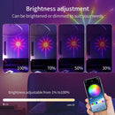 Axyaa Firework LED String Lights with Remote Control & Music Sync