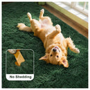 Axyaa Plush Green Area Rug for Modern Home Decor & Cozy Living Spaces