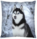 Axyaa 3D Animal Print Cushion Covers (18" x 18") - Cute Collection