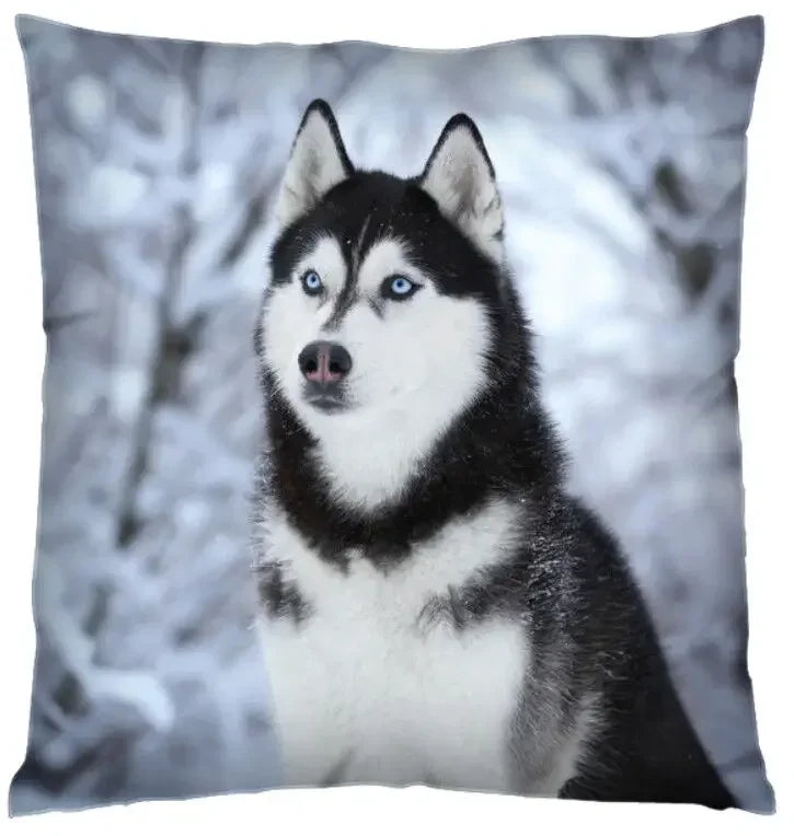 Axyaa 3D Animal Print Cushion Covers (18" x 18") - Cute Collection