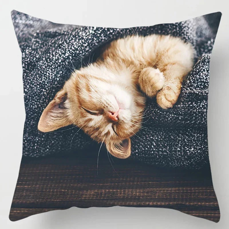 Axyaa Cat Collection Pillowcase - Home & Office Decor Square Pillowcase