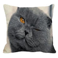 Axyaa British Shorthair Cat Pillow Cover 45X45cm Square Cushion