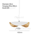 Axyaa Lotus Leaf Art LED Pendant Chandelier for Living Room & Bedroom