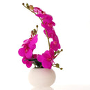 Ceramic Butterfly Orchid Vase for Home Decor Axyaa Orchid Collection