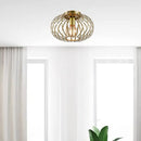 Axyaa Minimalist Iron Art Ceiling Light for Living Room, Bedroom, Kitchen.