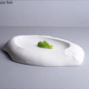 Axyaa Irregular Shape Ceramic Plate for Pasta, Steak, Sushi, Desserts, and Snacks
