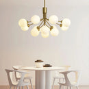 Axyaa Nordic Bean Hanging Lights for Bedroom Dining Living Room Restaurant