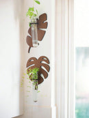 Axyaa Wood Wall Planters Turtle Back Leaf Pots Indoor Propagation Station