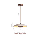 Axyaa Wabi Sabi Stone Pendant Lamps for Japanese Style Apartment Decor