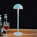 Axyaa LED Mushroom Desk Lamp Rechargeable Touch Switch Table Lamp