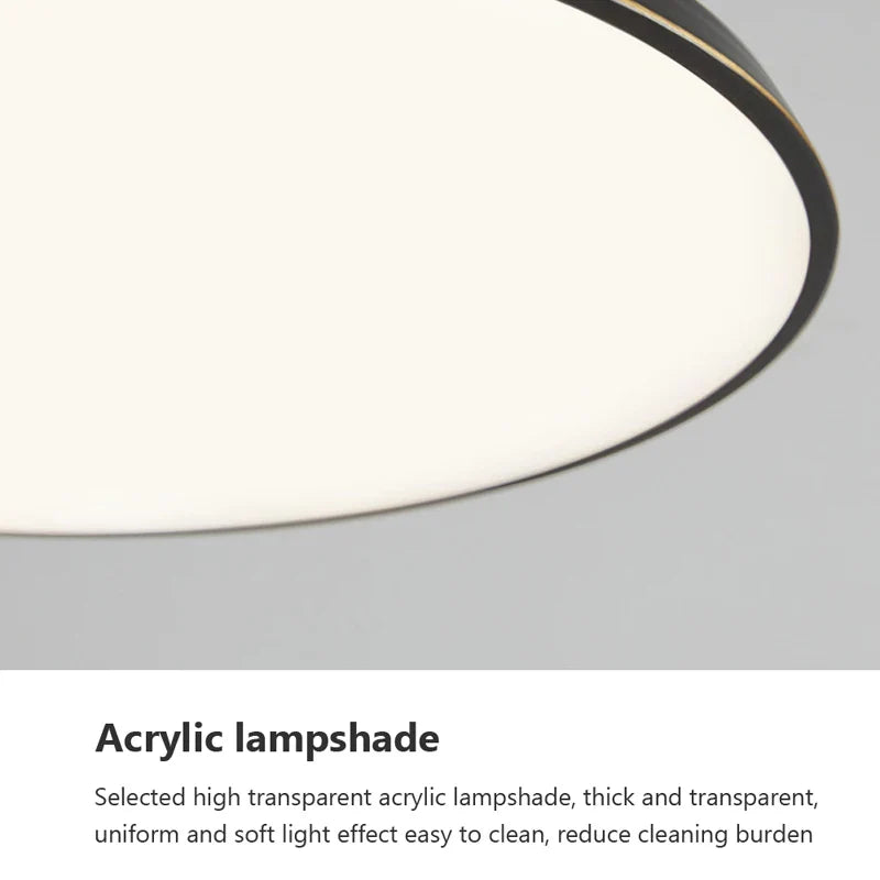 Axyaa Rotatable LED Ceiling Light for Home Decor