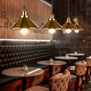Axyaa Industrial Pendant Chandelier Modern Hanging LED Ceiling Lamp for Living Room