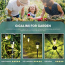 Axyaa Solar Lantern Lights for Garden Landscape Decoration