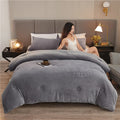 Axyaa Double Sided Milk Velvet Winter Comforter King Size Quilts, Soft Plush Duvets