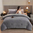 Axyaa Double Sided Milk Velvet Winter Comforter King Size Quilts, Soft Plush Duvets