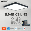 Axyaa Smart LED Ceiling Light 36W WiFi Dimmable Voice Control Alexa/Google Living Room