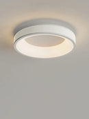 Axyaa Minimalist LED Ceiling Light White Green Cream Style Surface Mount