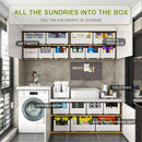 Axyaa Kitchen Storage Box: Cabinet Organizer for Sundries, Makeup, Spices & More