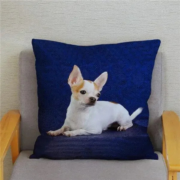 Chihuahua Dog Printed Cushion Cover by Axyaa for Home Decor
