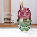 Axyaa Geometric Glass Vase Art Decor Flower Vessels Dried Flower Arrangement Craft