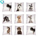 Siberian Husky Dogs Cushion Cover 45X45CM by Axyaa