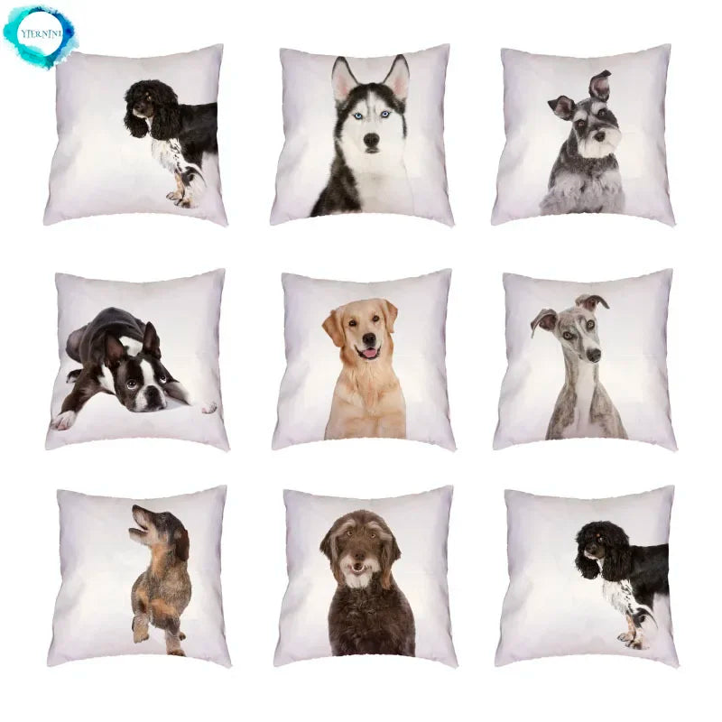 Siberian Husky Dogs Cushion Cover 45X45CM by Axyaa