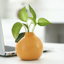 Axyaa Orange Ceramic Vase with Simulated Pomelo Fruit for Home Decoration