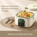 Axyaa Portable Electric Lunch Box - LCD Display, Small Capacity, Rechargeable