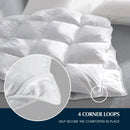 Axyaa Queen Size Cotton Comforter - Hypoallergenic Hotel Luxury Bedding