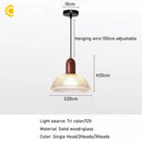 Axyaa Wooden & Glass Pendant Chandelier for Dining Room & Restaurant