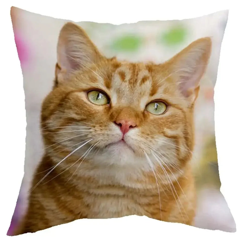 Axyaa Cat Design Sofa Cushion Cover 45x45cm