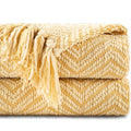 Axyaa Knitted Throw Blanket for Couch - Soft & Thick Decorative Sofa Blanket
