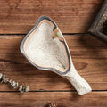 Axyaa Ceramic Sushi Sashimi Plate Set for Japanese Restaurant, Hotel - Cold Dish, Oyster Shell, Cuttle Fish